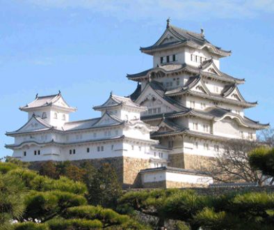 Castle-from-Edo-period