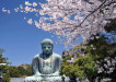 Great-Buddha-in-Kamakura