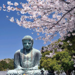 Great-Buddha-in-Kamakura